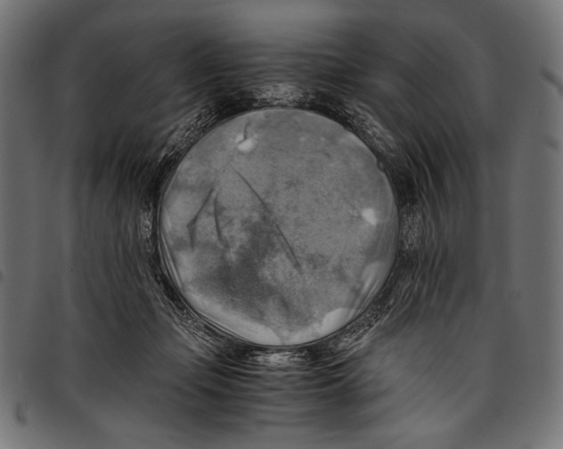 X0000094800365200712141658