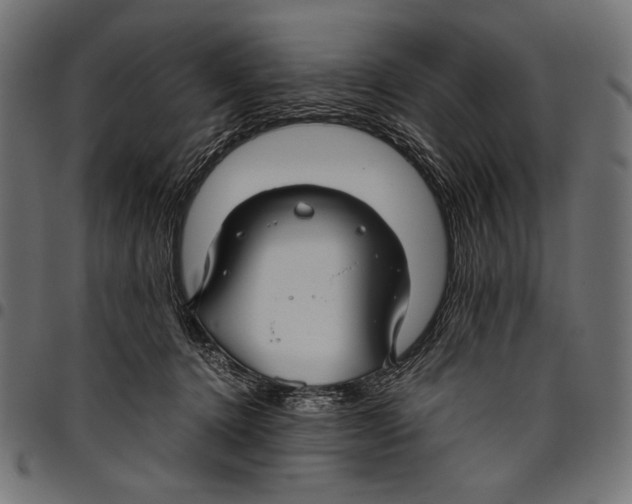 X0000094800368200712141658