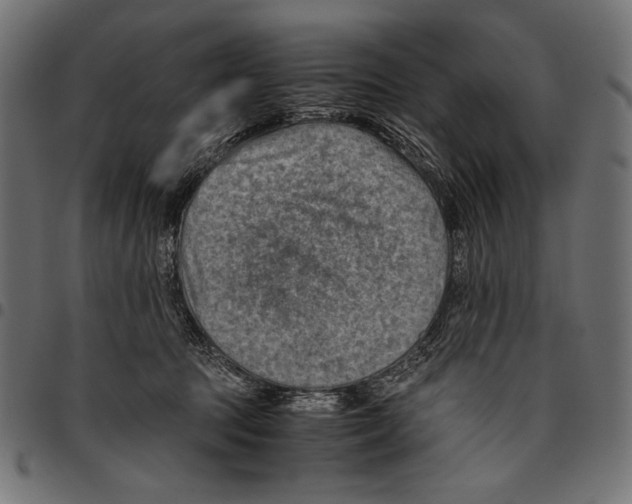 X0000094800369200712141658