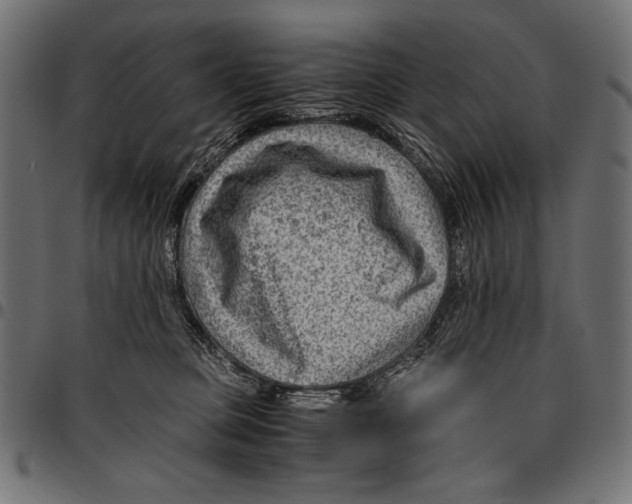 X0000094800373200712141658