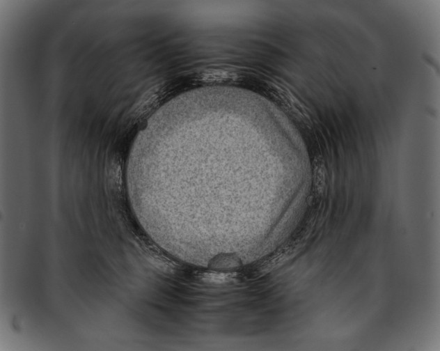X0000094800375200712141658
