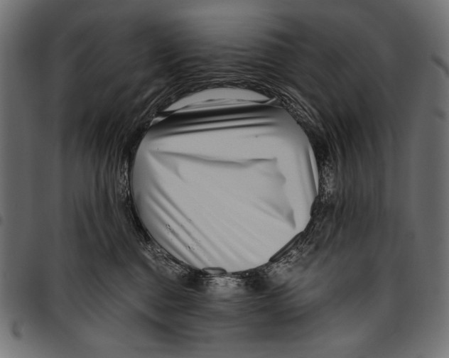 X0000094800376200712141658
