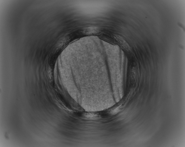 X0000094800380200712141658