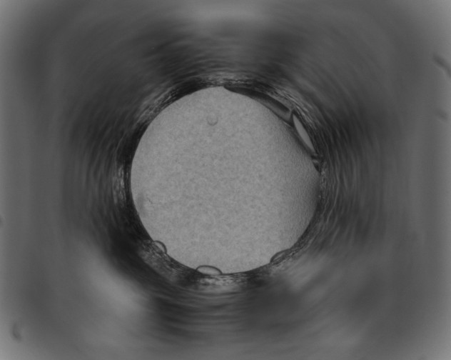 X0000094800381200712141658