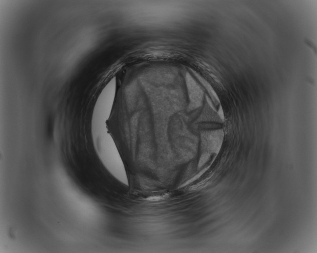 X0000094800382200712141658
