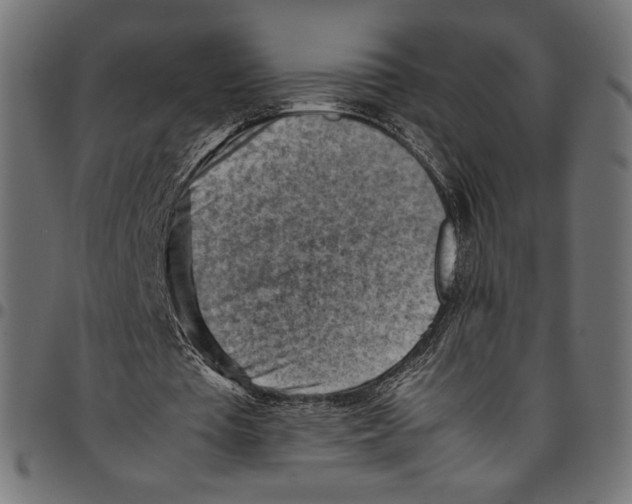 X0000094800385200712141657