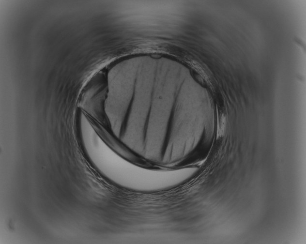 X0000094800387200712141657
