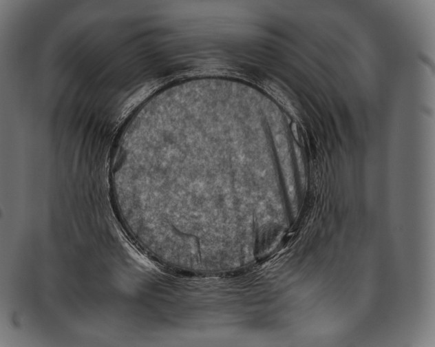 X0000094800389200712141657