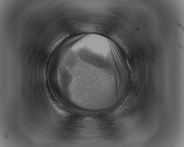 X0000094800390200712141657