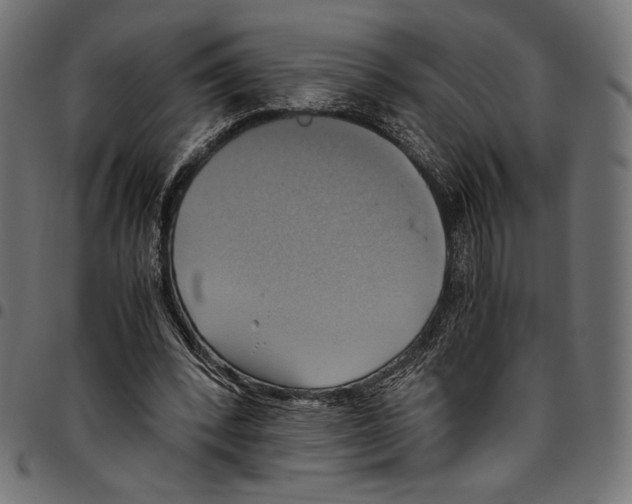 X0000094800392200712141657