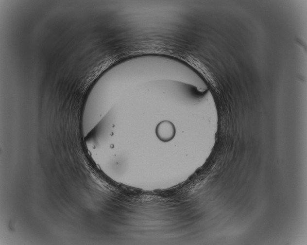 X0000094800393200712141657