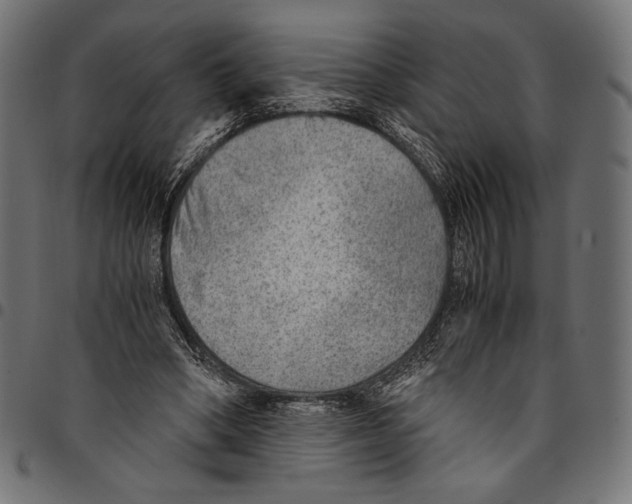 X0000094800394200712141657