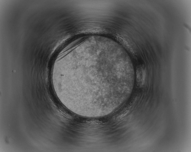 X0000094800396200712141657