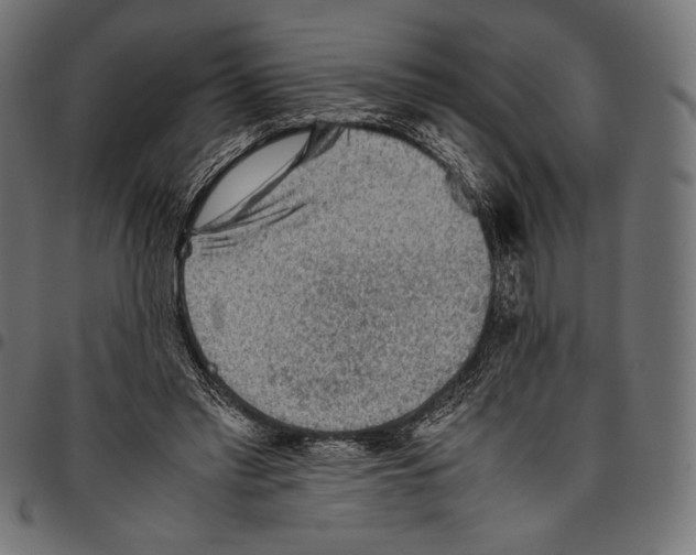 X0000094800397200712141657