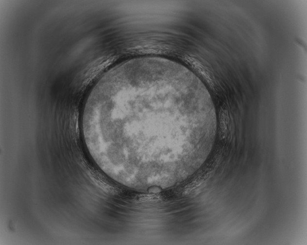 X0000094800398200712141657