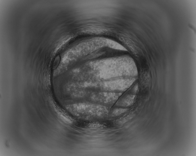 X0000094800399200712141657