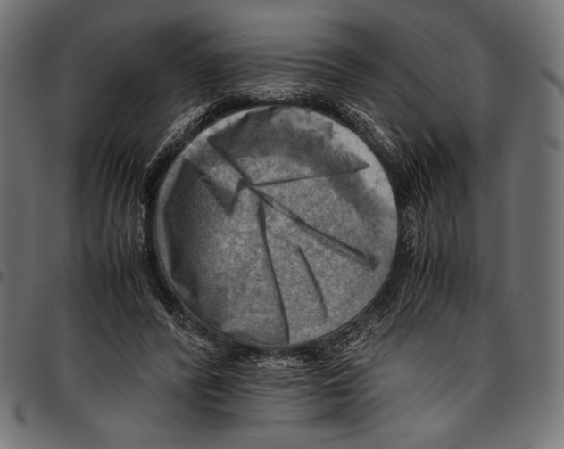 X0000094800400200712141657