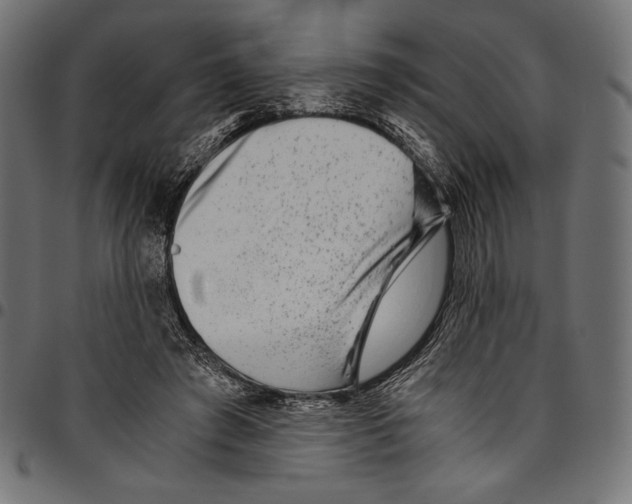 X0000094800401200712141657