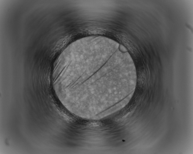 X0000094800402200712141657