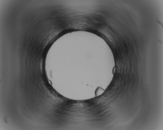 X0000094800404200712141657