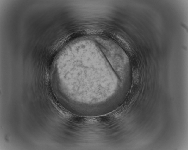 X0000094800405200712141657