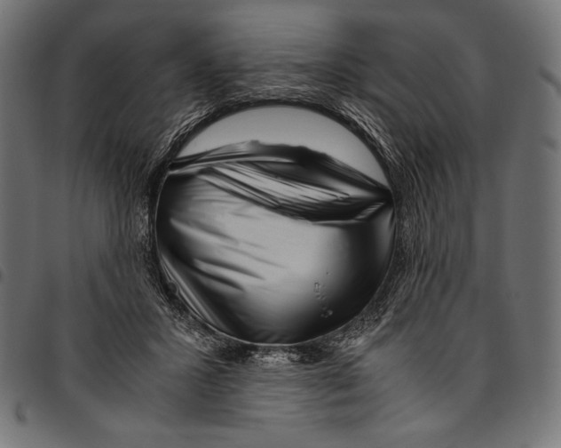 X0000094800407200712141657