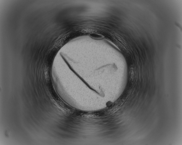 X0000094800408200712141657