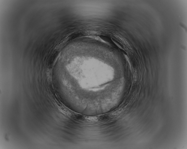 X0000094800409200712141657
