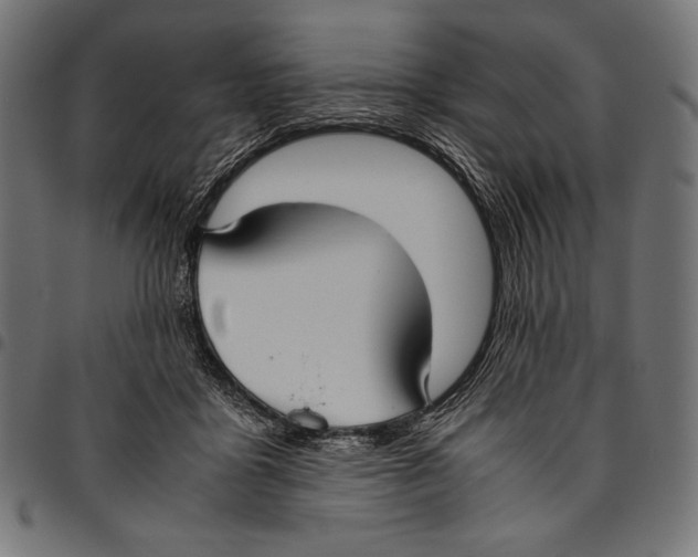 X0000094800411200712141657