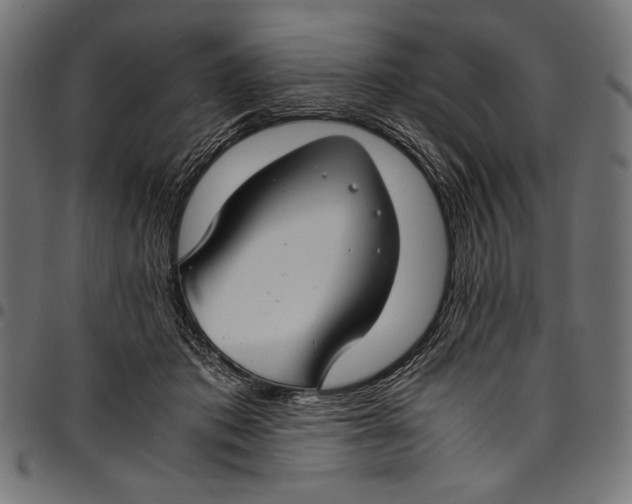 X0000094800413200712141657