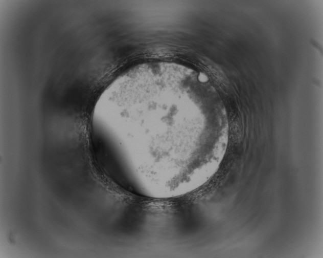 X0000094800415200712141657