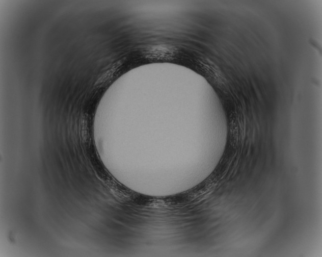 X0000094800416200712141657
