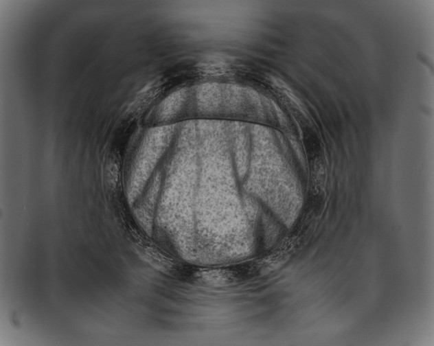 X0000094800417200712141657