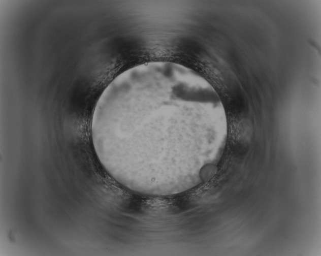 X0000094800419200712141657