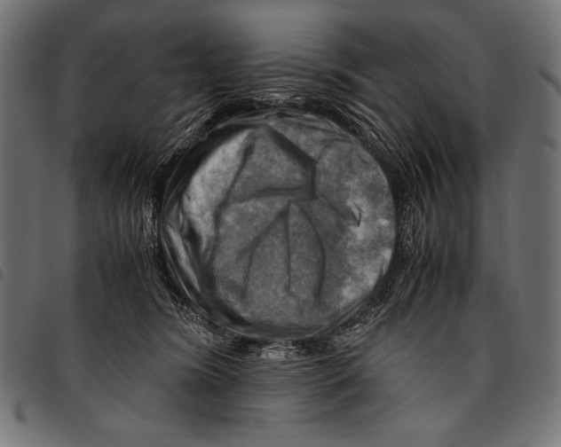 X0000094800420200712141657