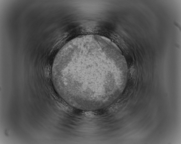 X0000094800423200712141657