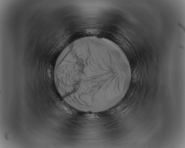X0000094800424200712141657