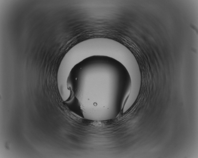 X0000094800425200712141657