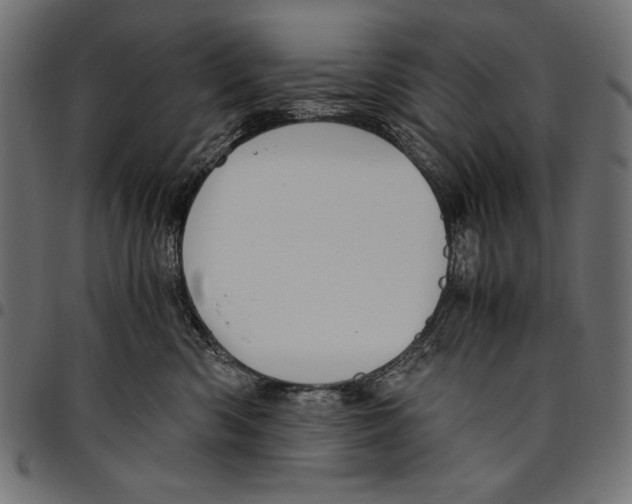 X0000094800426200712141657