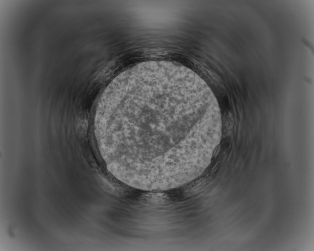 X0000094800427200712141657