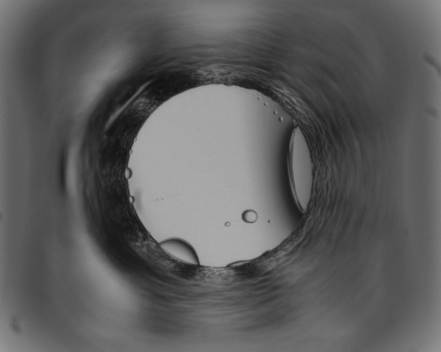 X0000094800429200712141657