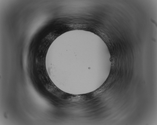 X0000094800430200712141657