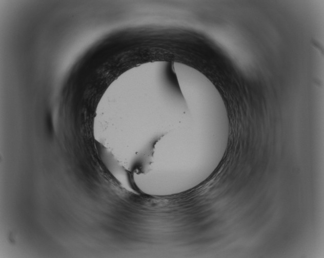 X0000094800431200712141657