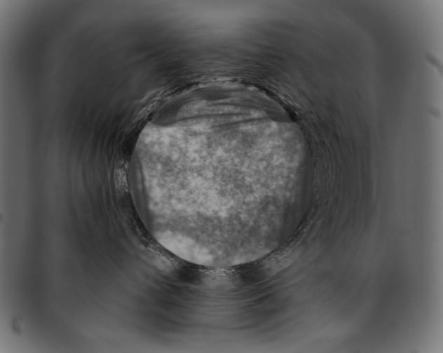 X0000094800432200712141657