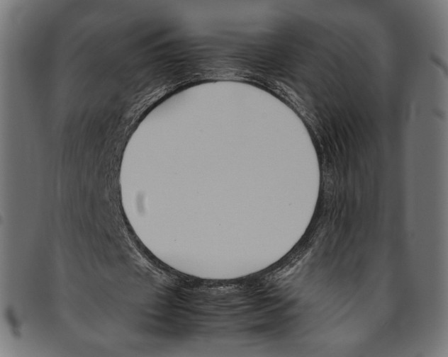 X0000094800433200712141656
