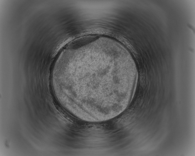 X0000094800434200712141656