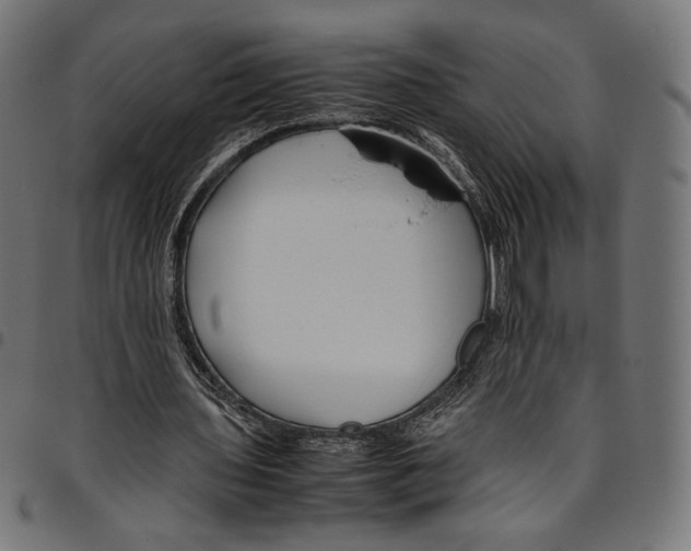 X0000094800435200712141656