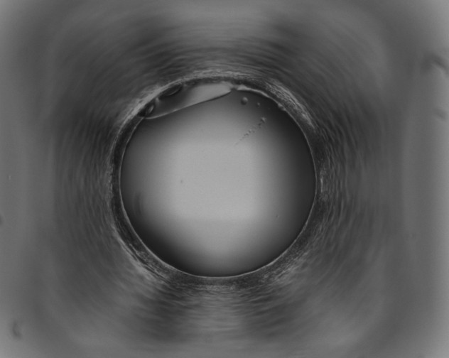 X0000094800436200712141656