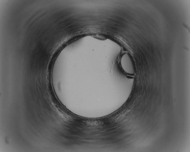 X0000094800439200712141656