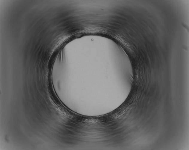 X0000094800440200712141656